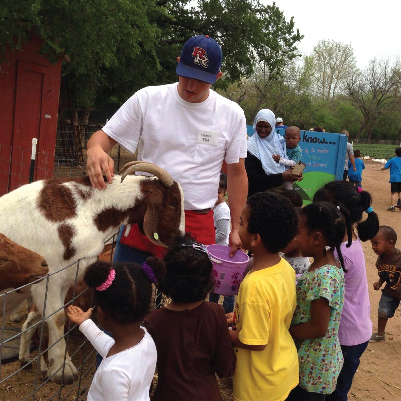 Questioning the System