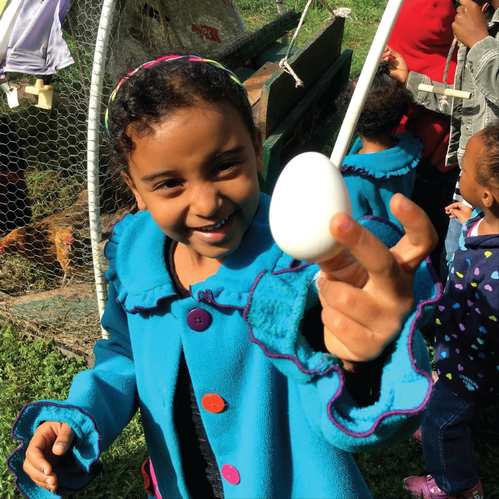 Searching for the Why